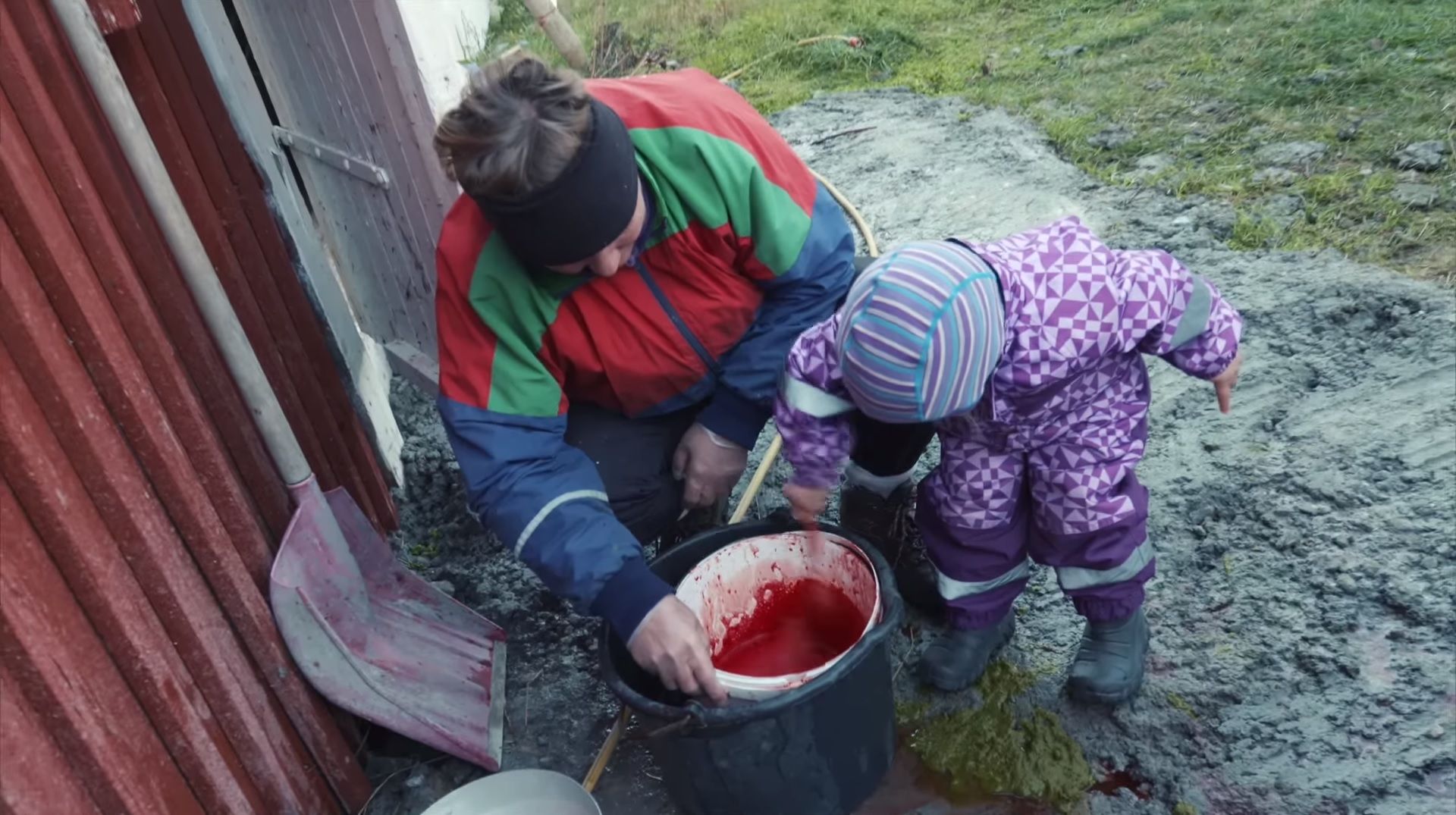 Folk Tåler Kanskje Ikke å Se Blod Og Tarmer? - Itromso.no