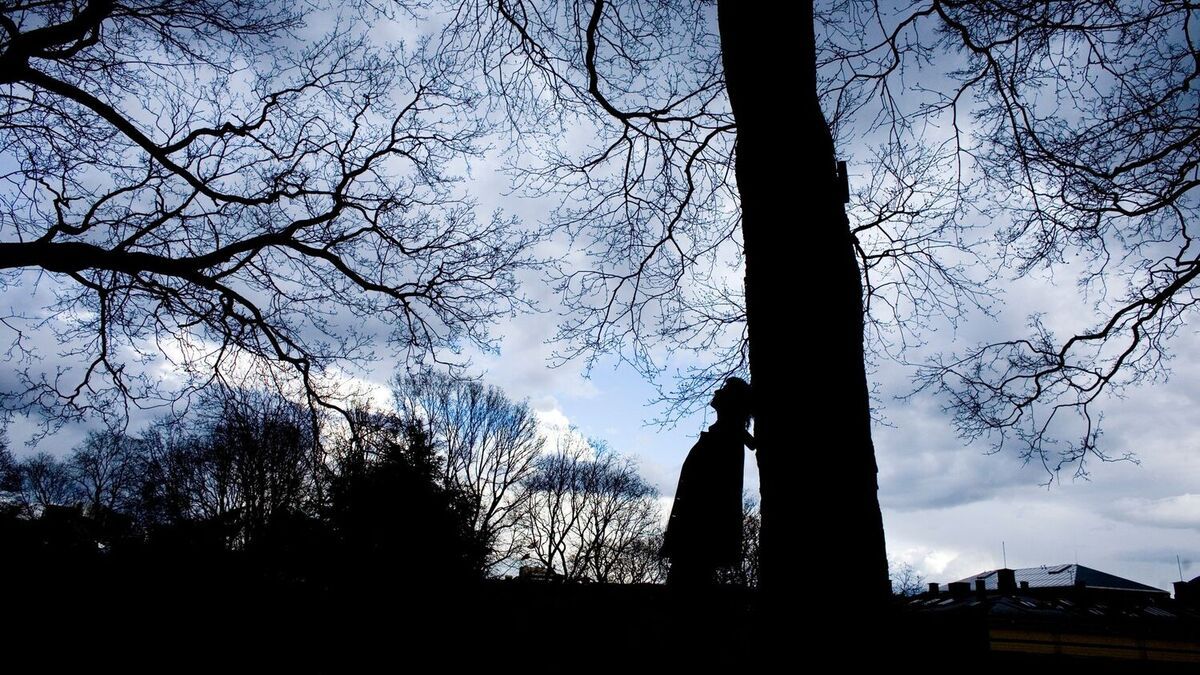 Nedgang i antall selvmord i Norge