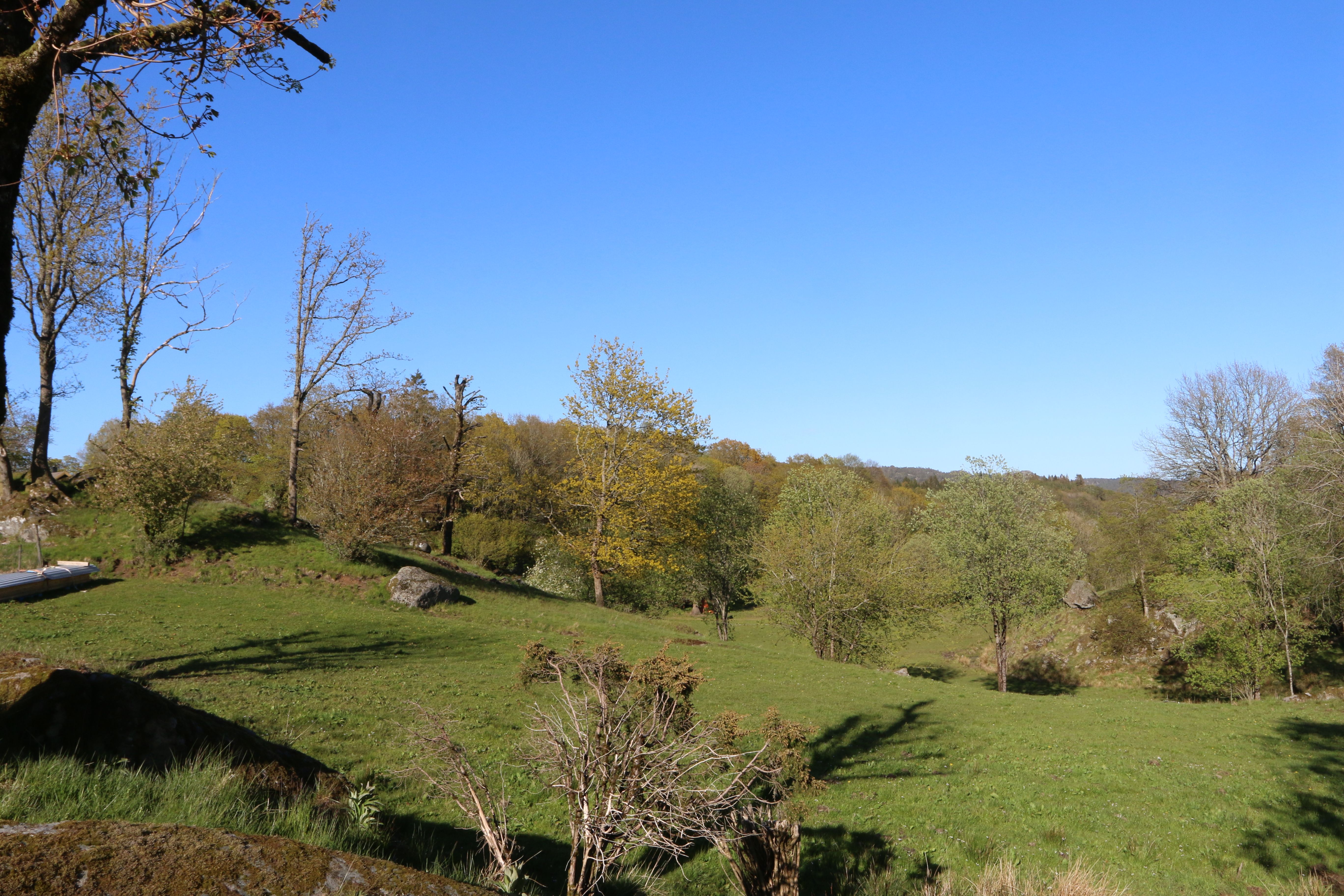 Vil utvide naturreservat