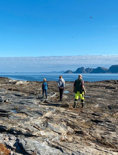 Time for action – no more postponements to the flea island