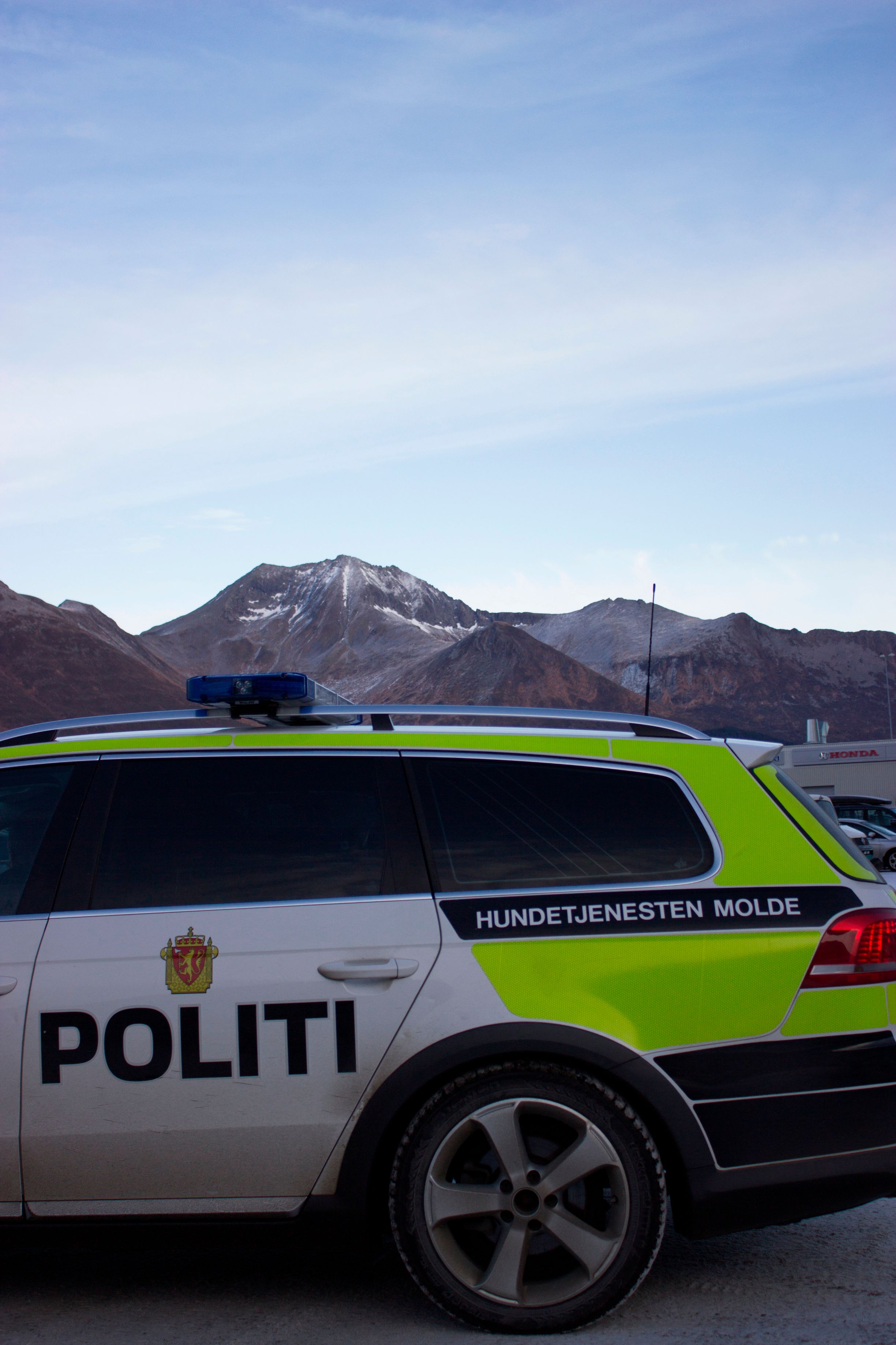 Politihundar Leitar Etter Maja Morenytt no
