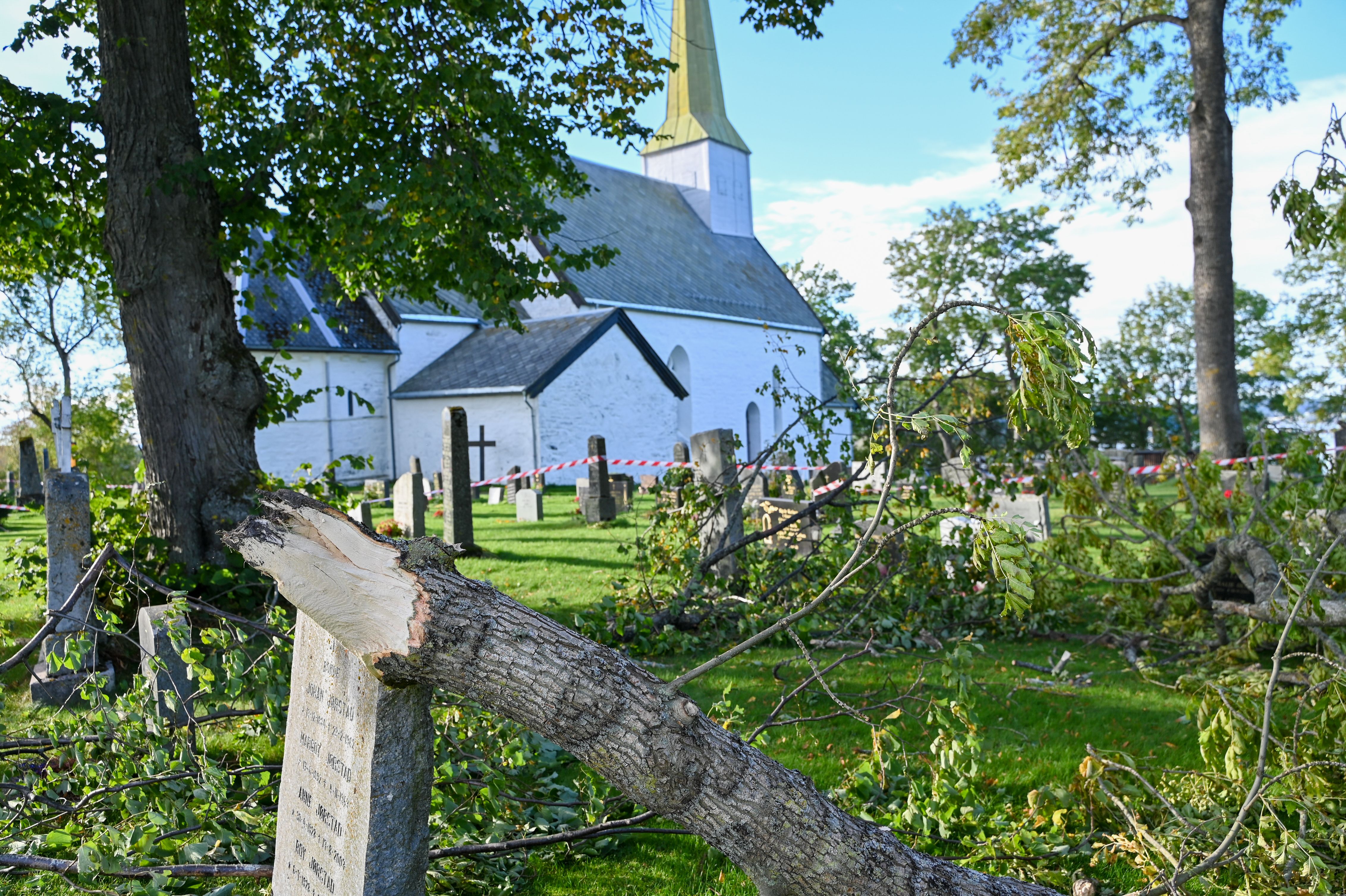 Trær veltet over kirkegård - innherred.no