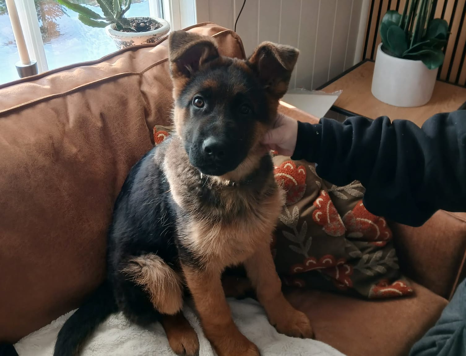 30.000 i dusør: – Vi er helt knust