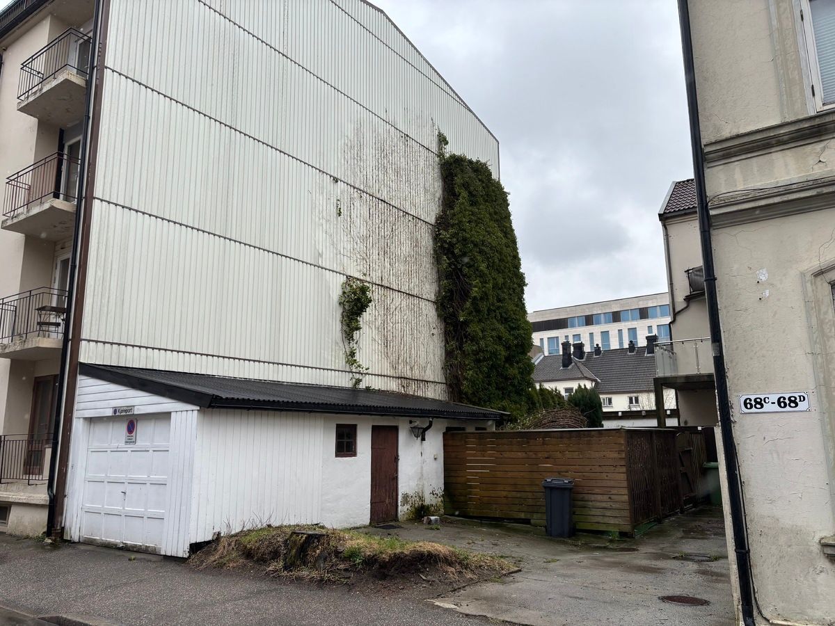 Klatrebusk har blåst av veggen i Kvadraturen