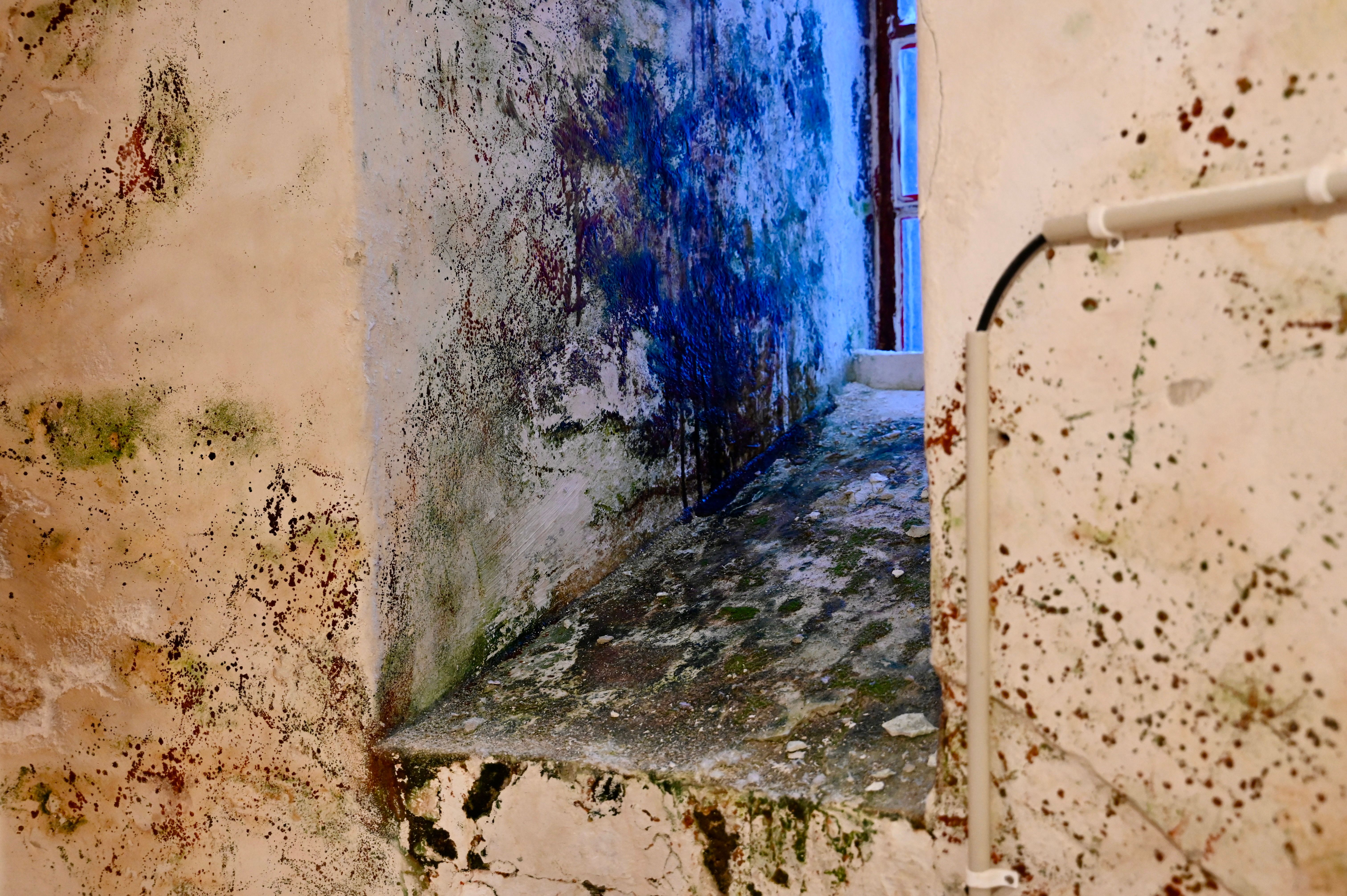 Store, kritiske fuktskader i distrik­tets største attrak­sjon