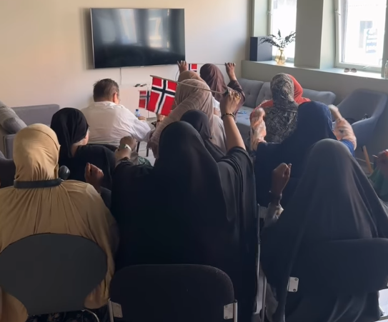 Rasisme eller kritikk?