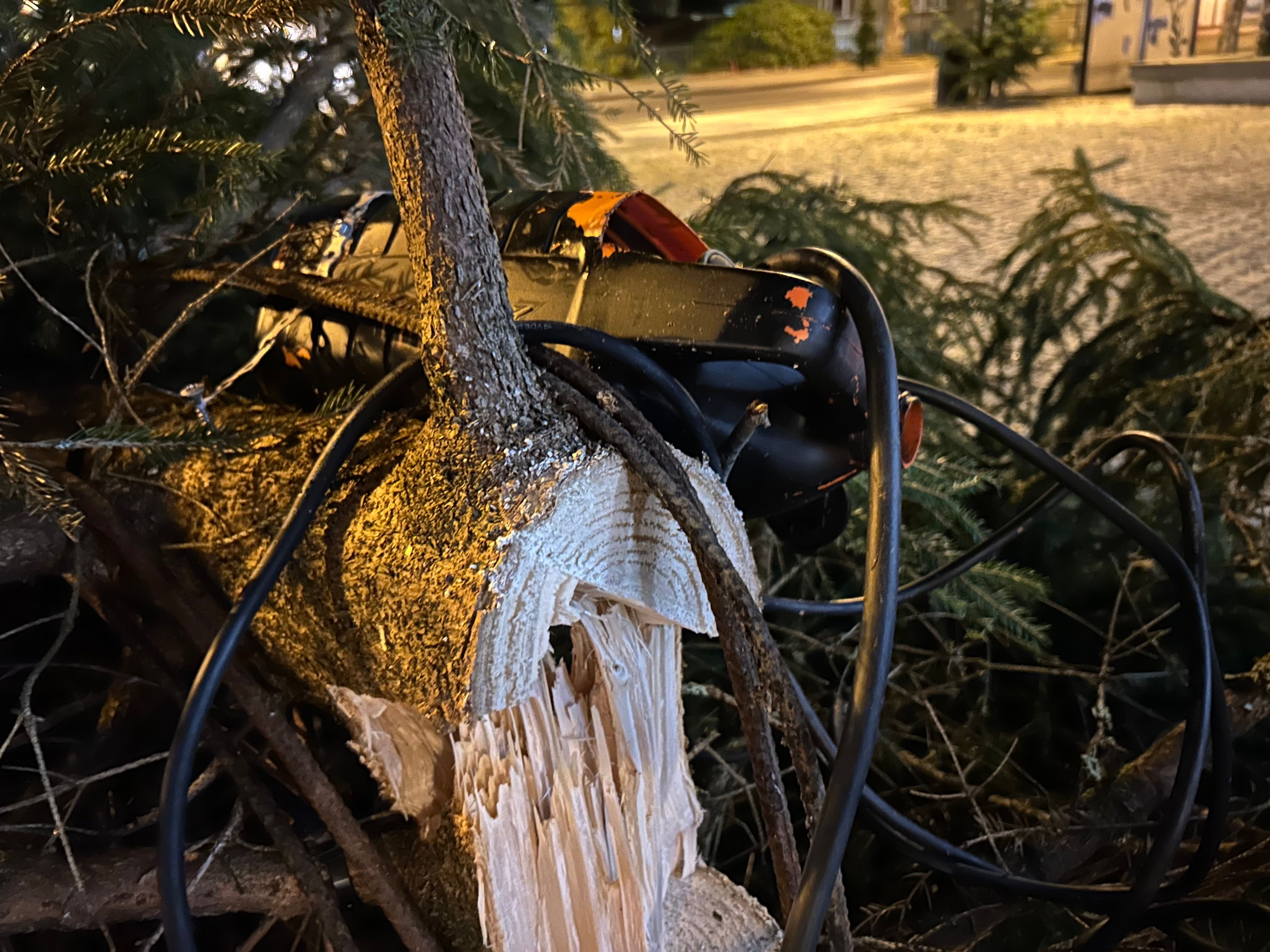 Julegrana sagd ned igjen: – Folk må være galne