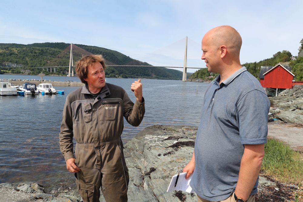 Taket: Mer enn bare et vern over hodet