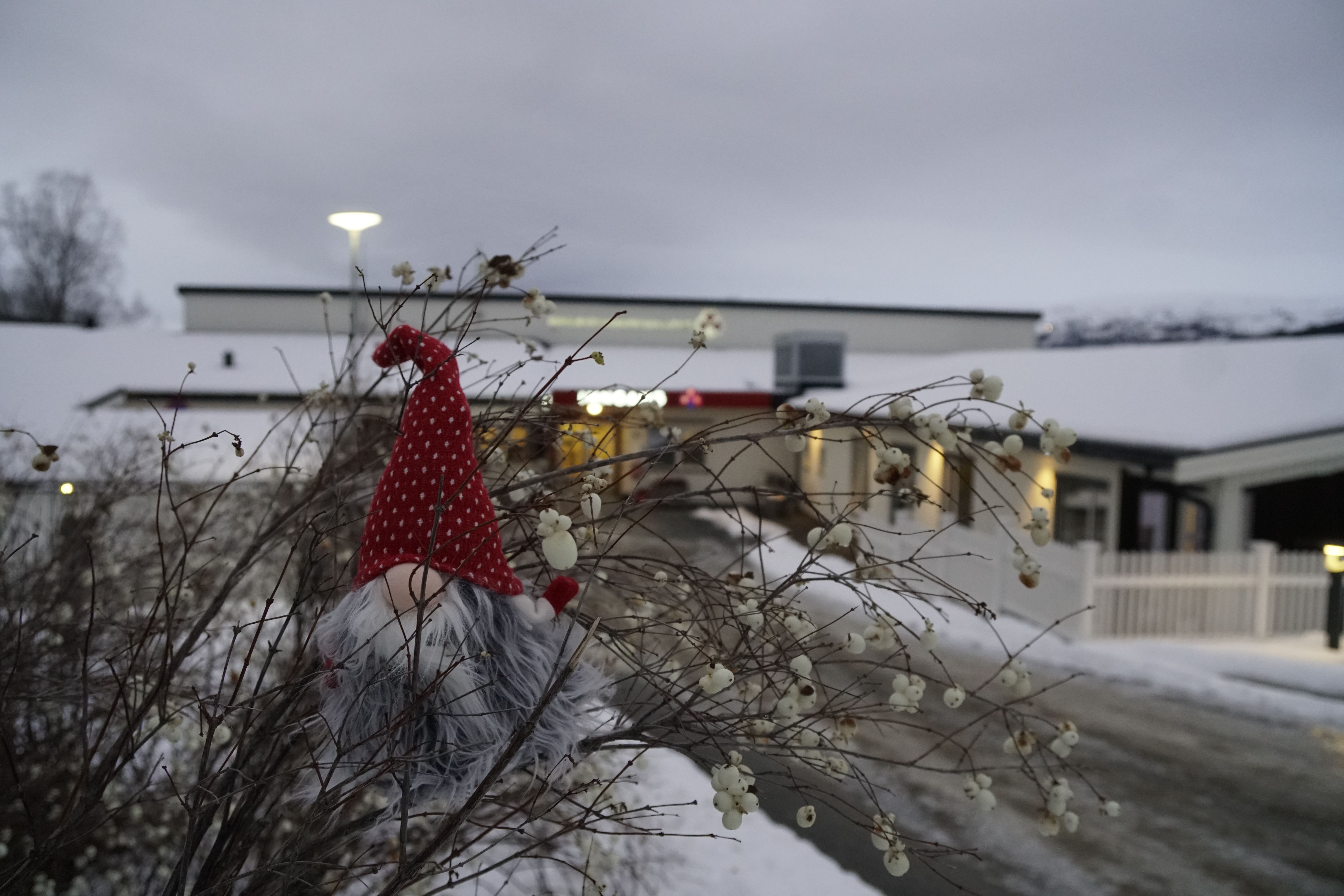 nissen-har-tatt-seg-en-pause-i-julestria-ser-du-hvor-han-er-bladet-no