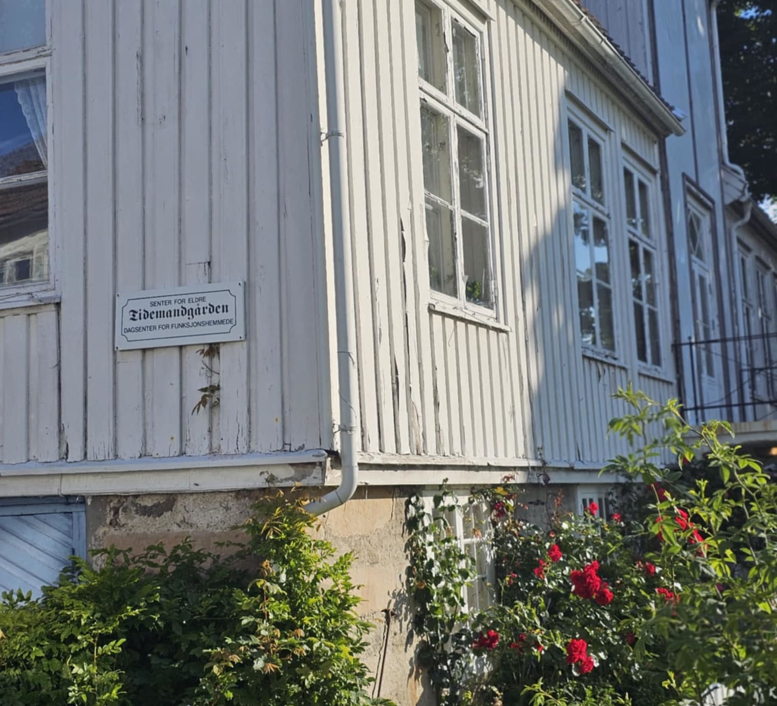 Har Riksantikvaren sovet i timen?