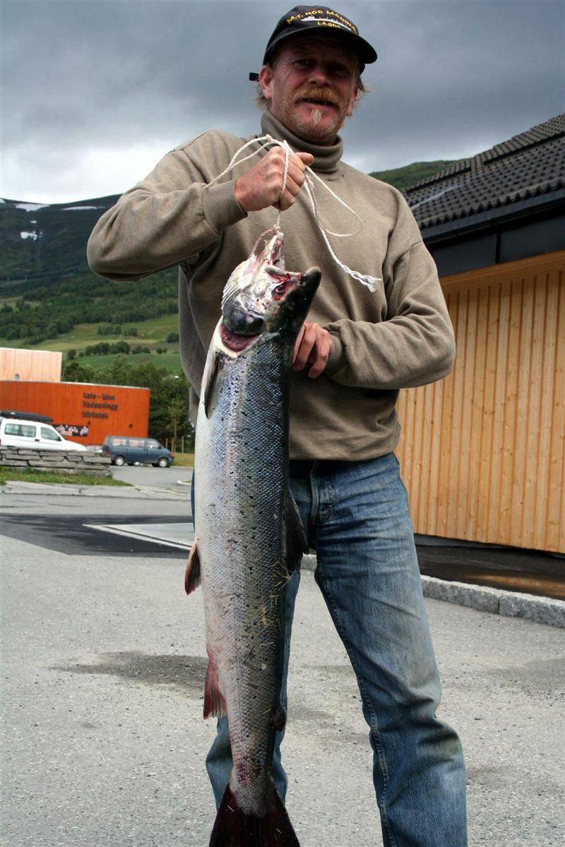 Laks og røye til fiskekonkurransen - opp.no