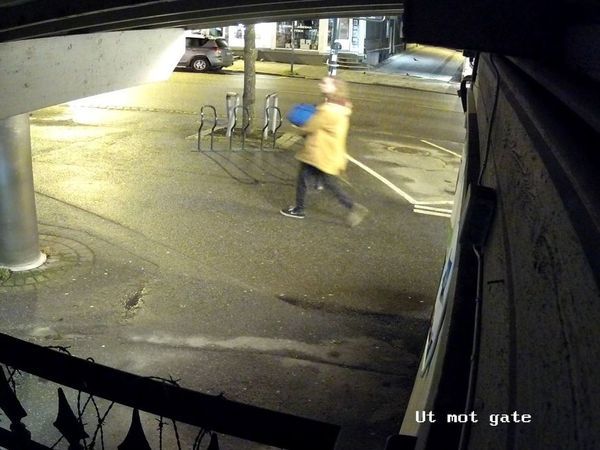 Ingen Har Sett Odin Siden 2018 N Starter En Tv serie P Seks Episoder