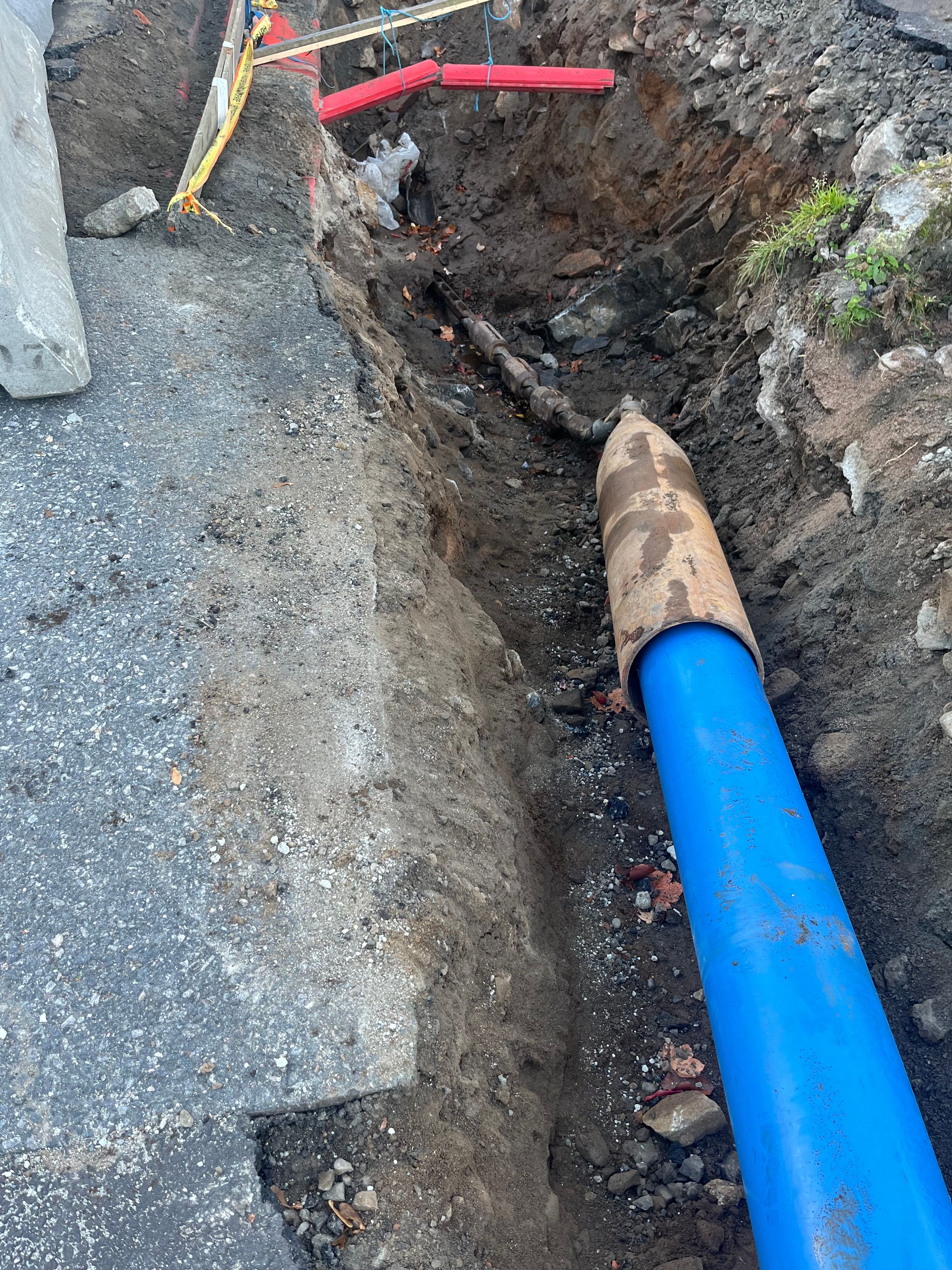 Her skal det bli park