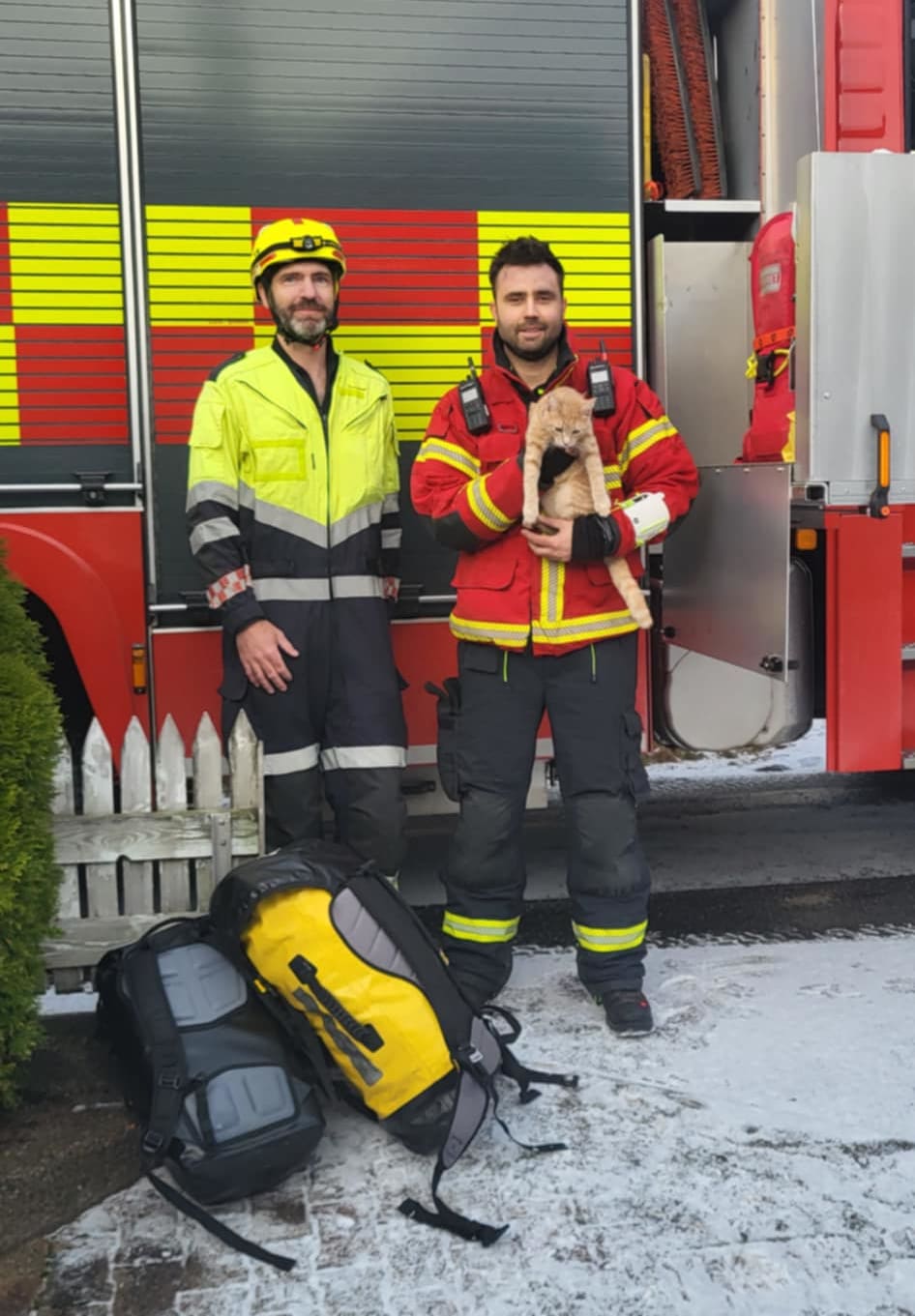 Brann­vesenet reddet pus fra 12 meter høyt tre