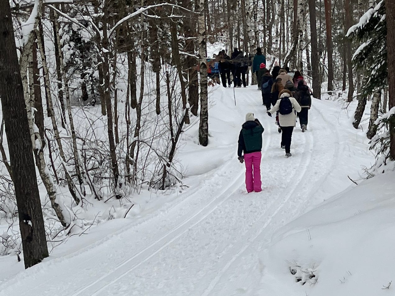 «Det så ut som en bøffel­flokk hadde massa­krert sporene»