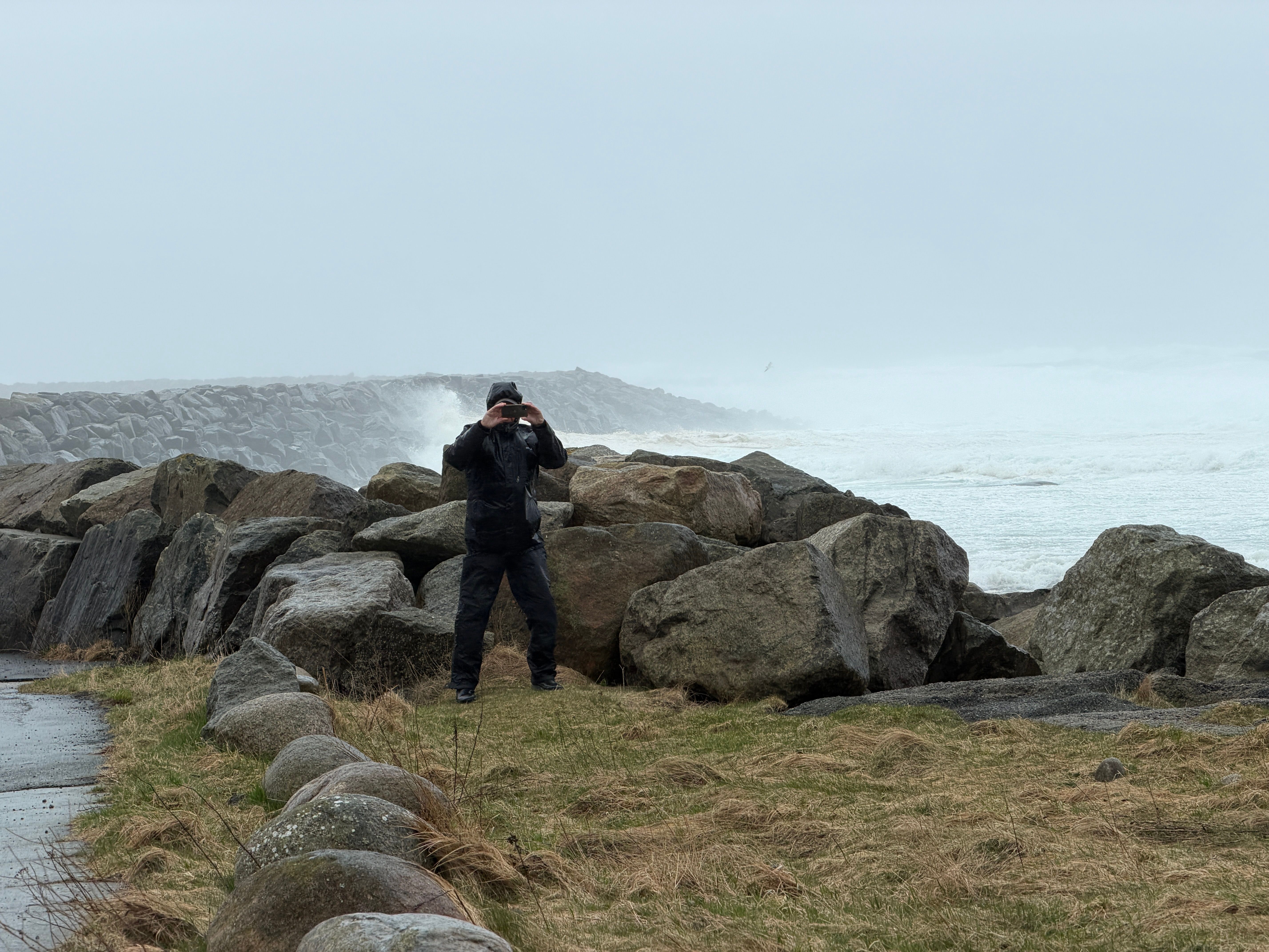 Se mange bilder: Valfart for å få nærkontakt med «Dave»