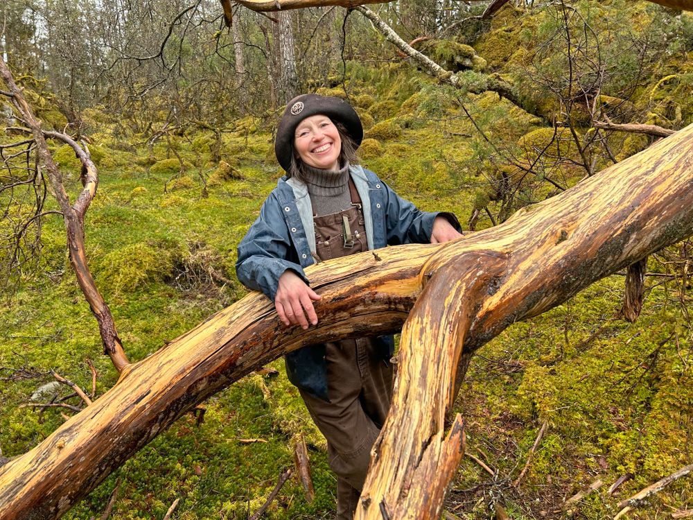 Skogen er verna, men nesten ingen veit om det - strilen.no