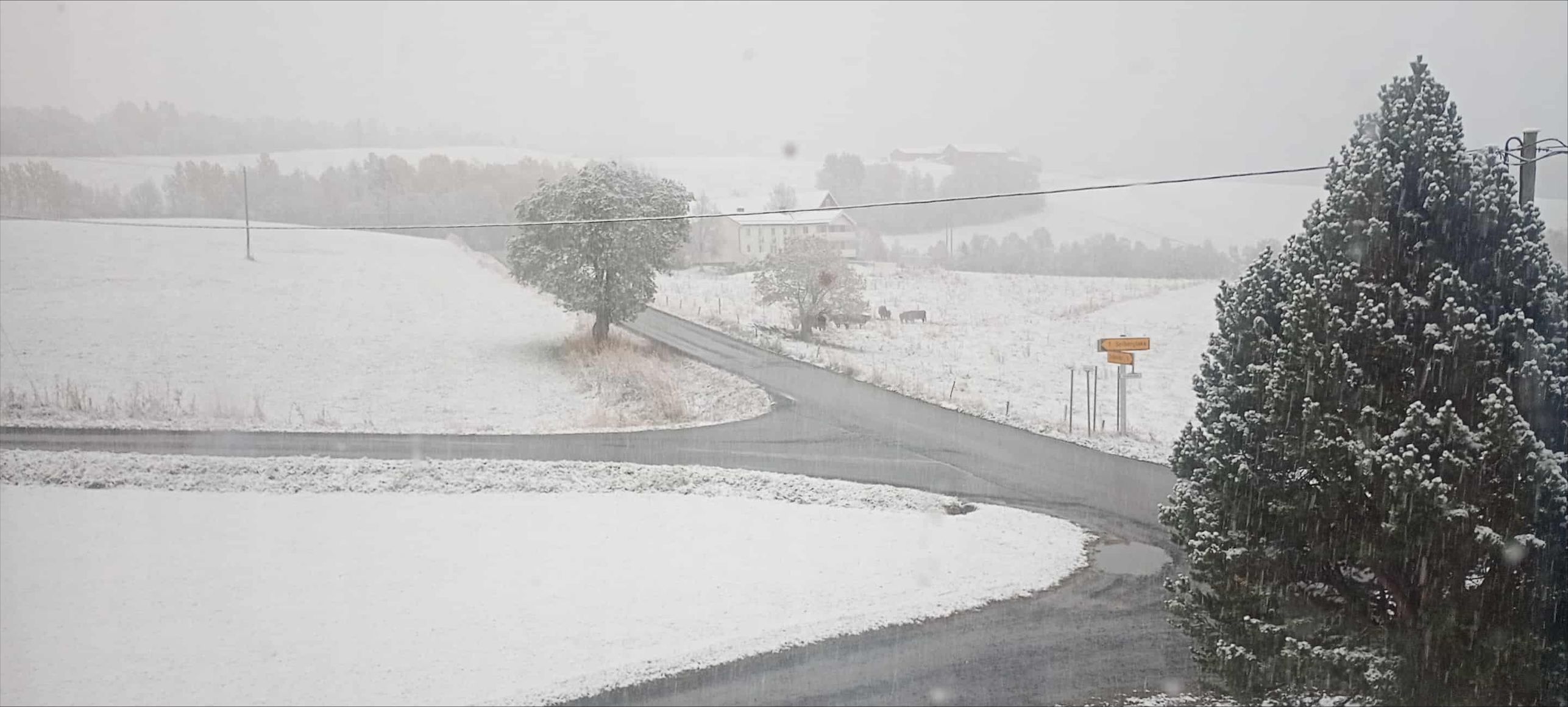 Snø i Soknedal - tronderbladet.no