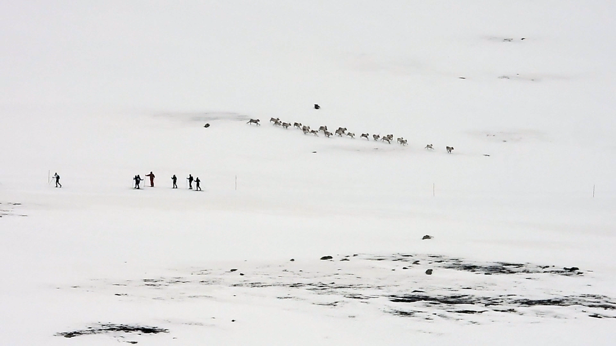 Ordfører avviste vedtak før votering