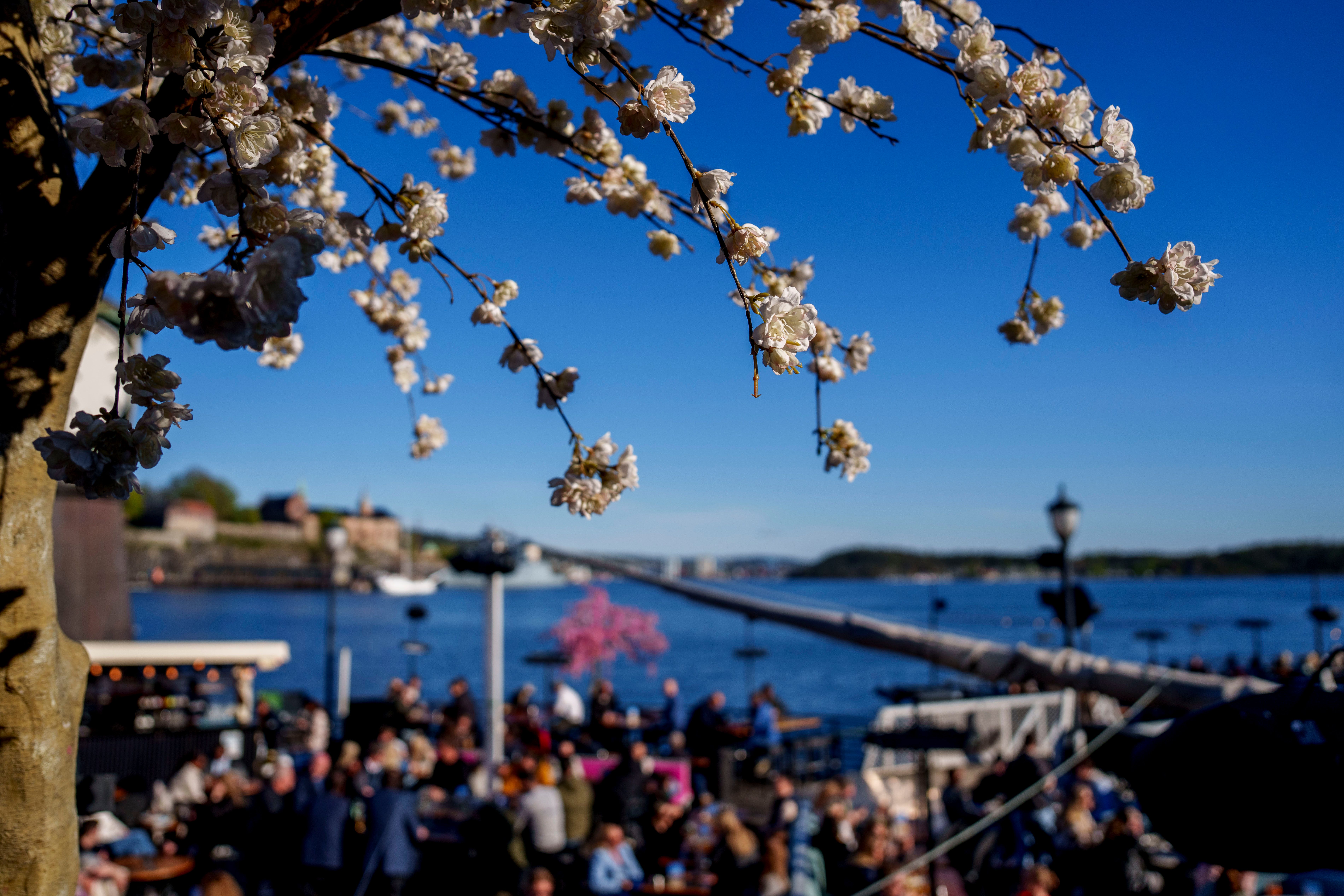 Nå blir det varmere Sør-Norge – utepilsvær for de ivrigste