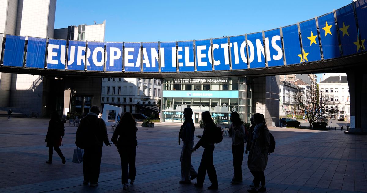 Dette bør du vite om EU-valget
