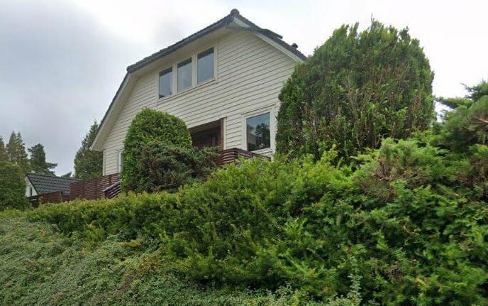 Ular qichitqi otlari bilan urishadi