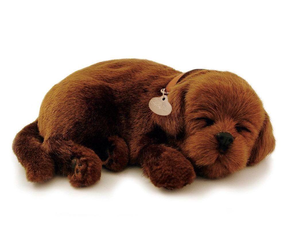 Hasbro furreal friends щенок. собачка игрушка настоящая. плюшевая собачка бигль. собачка. Perfect petzzz дышащая игрушка лабрадор.