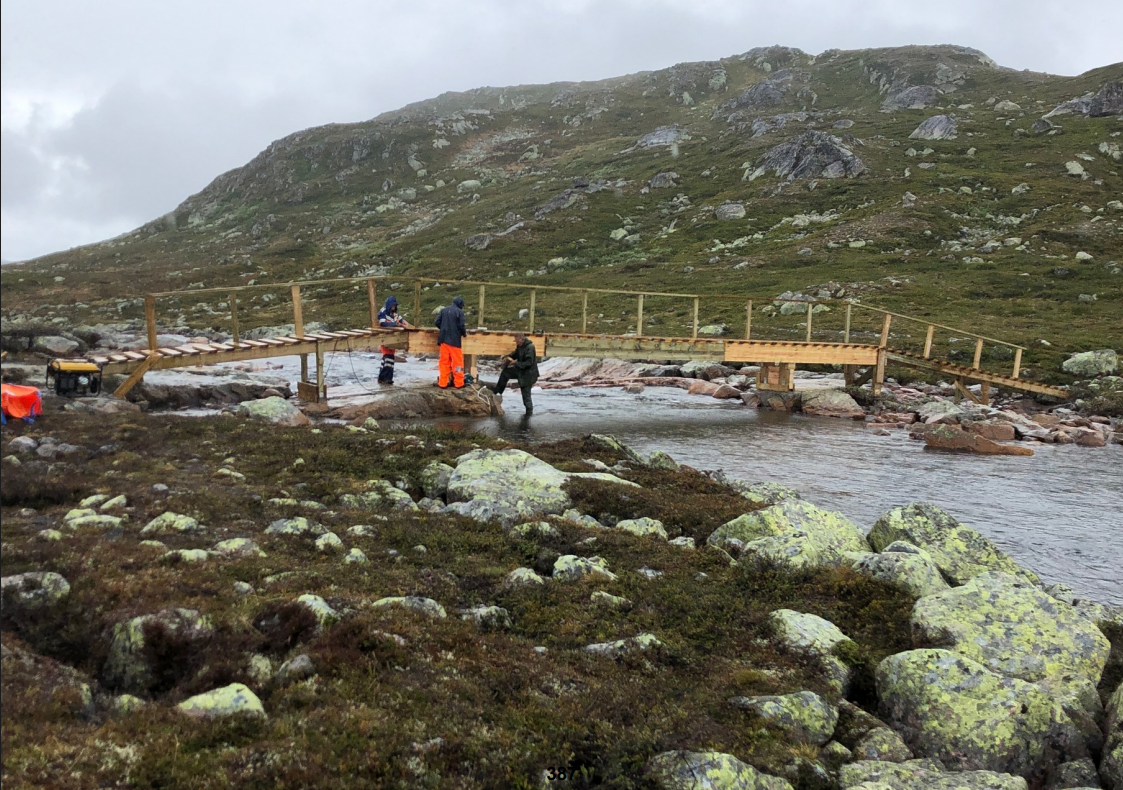 Turist­forening bygde ulovlig bro: – Ønsker den revet
