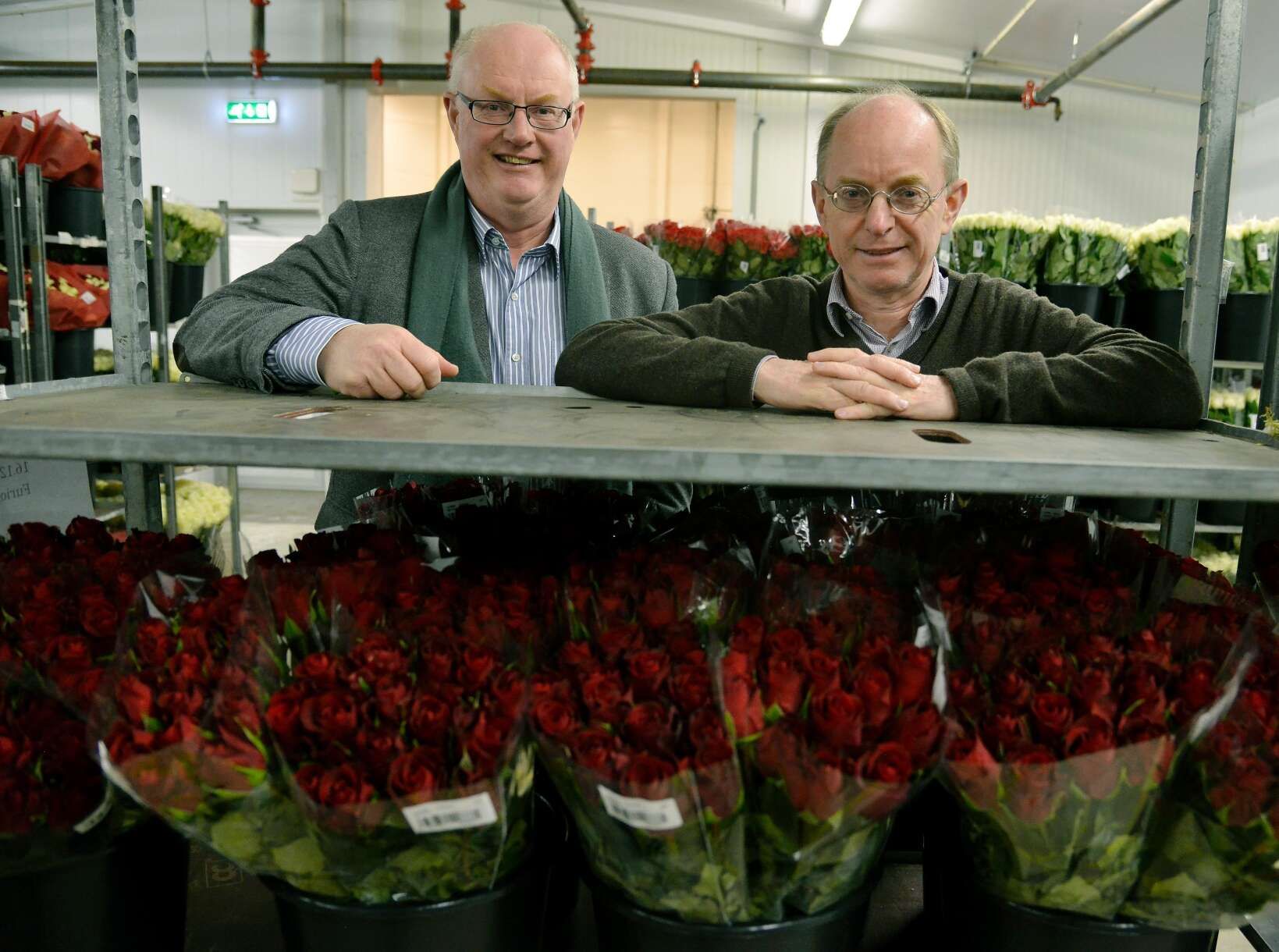 En Liten Skrivefeil Kan Koste Br drene Ole Og Erling 64 Millioner 