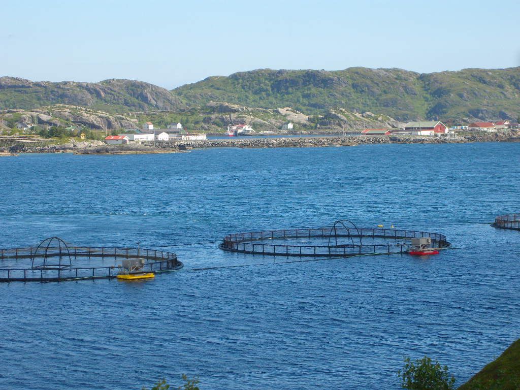 foresl-r-40-prosent-eierkontroll-kystogfjord-no