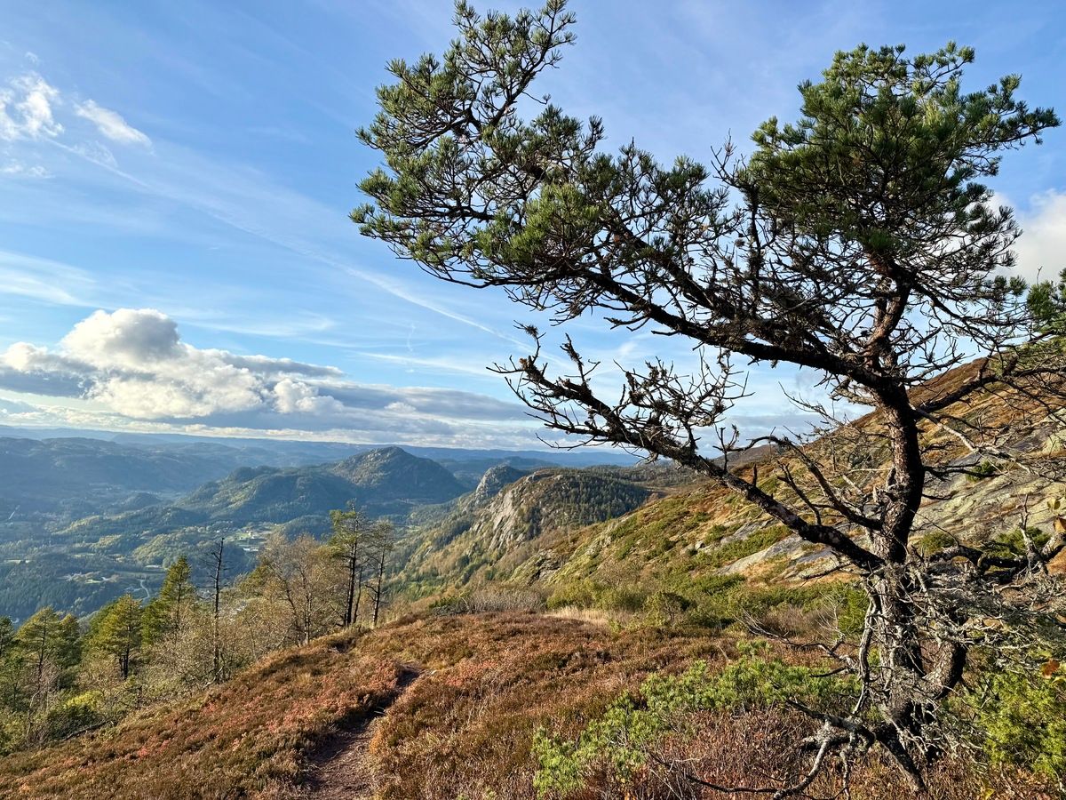 Vi dro til Hekkfjell - fvn.no