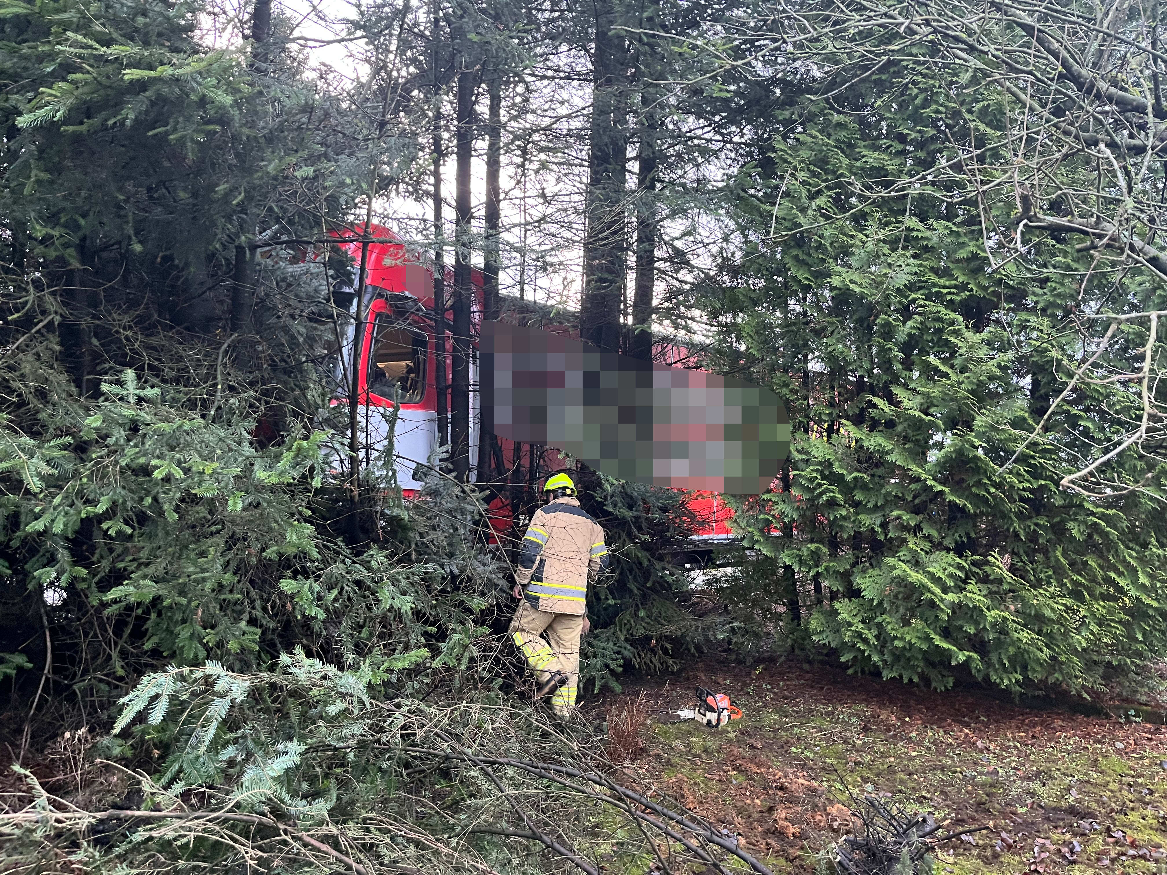 Kjørte utfor gamle E39 og inn i en granhekk – video i saken