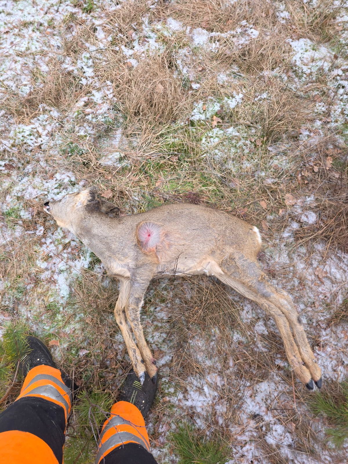 – Jeg blir oppgitt og overgitt