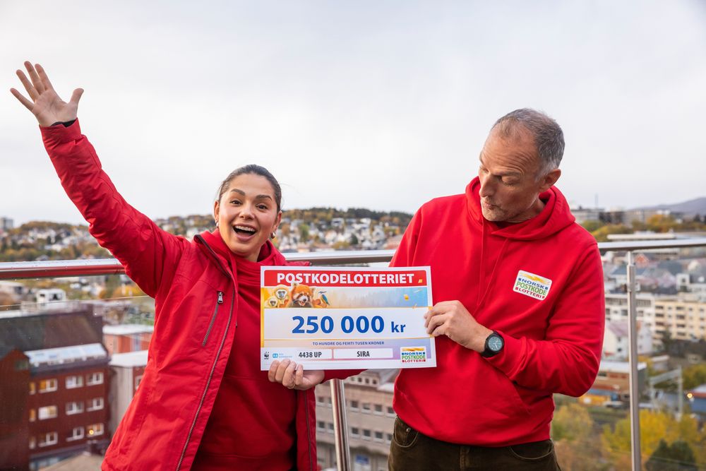 Pastdan yalangoch eshak korinishi