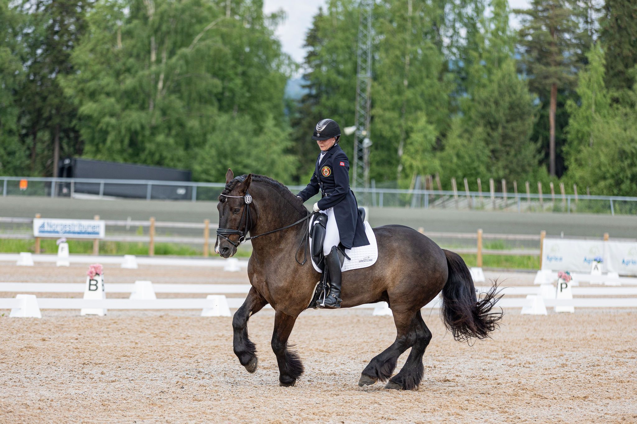 Cecilie og Rassin ble historiske: – Stolt over at en hest av denne ...