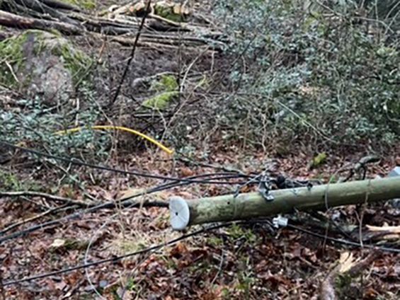 140 er uten nett etter hogstskade