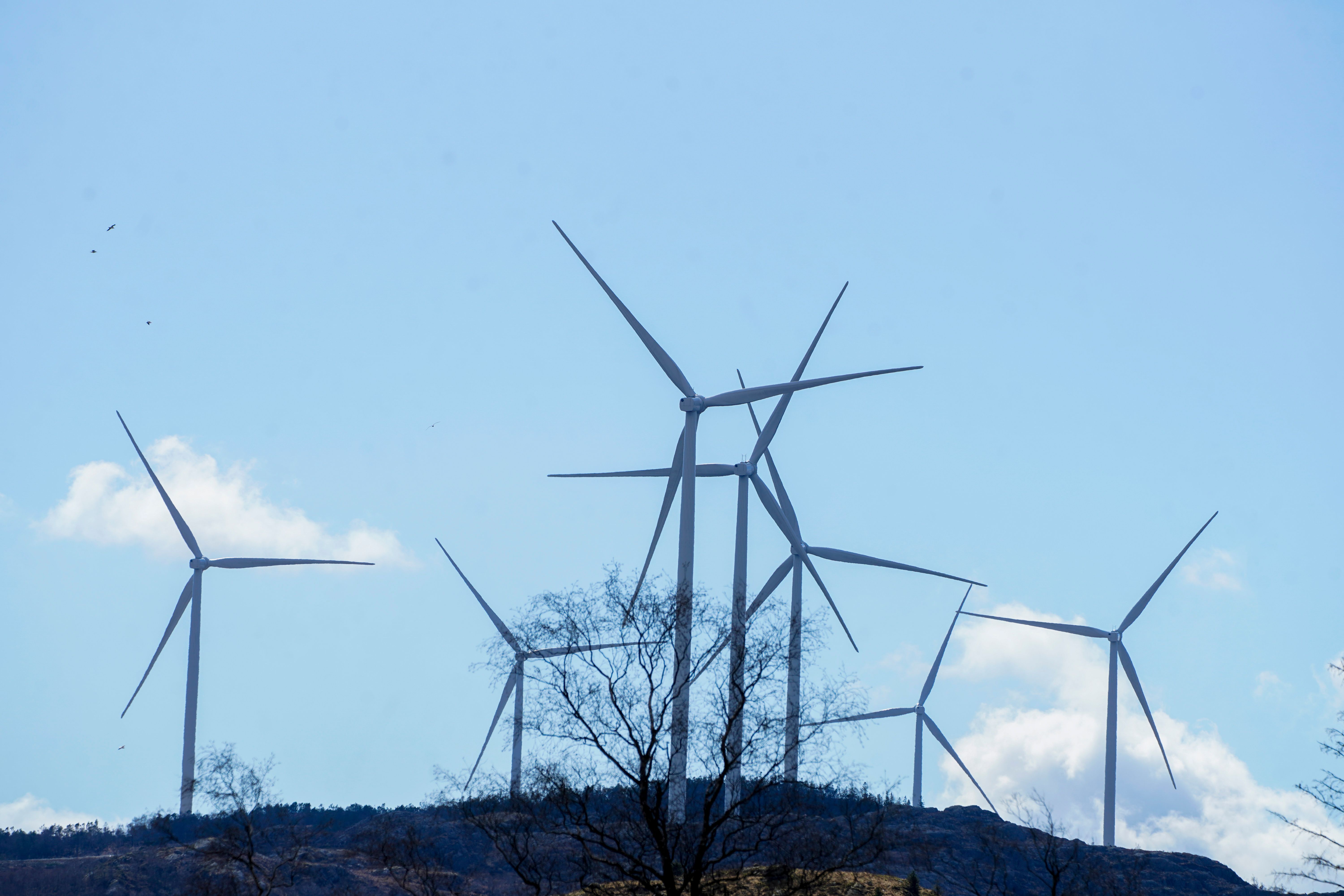 Hvordan skal vi nå komme oss videre? Energipolitikk etterlyses…