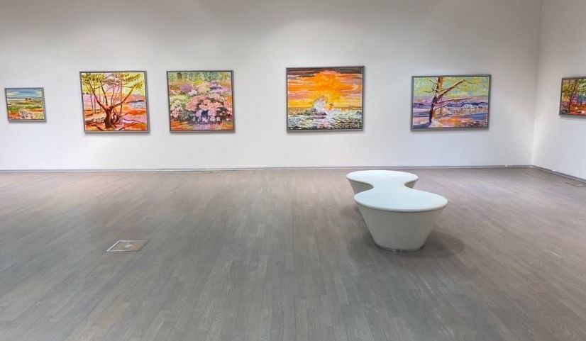 Bevar galleriet!