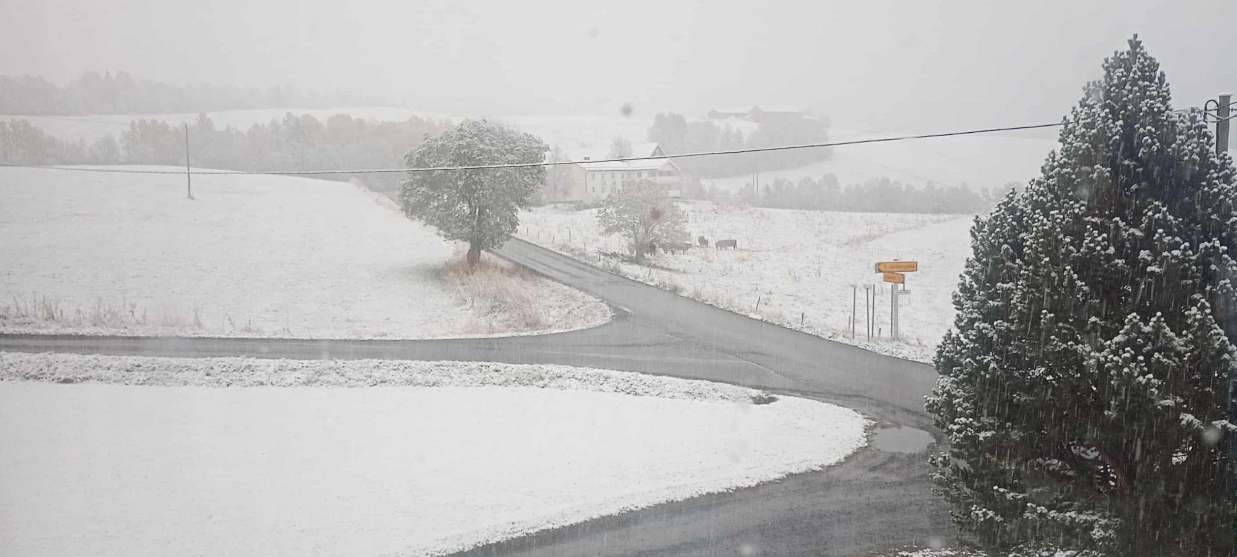 Snø i Soknedal