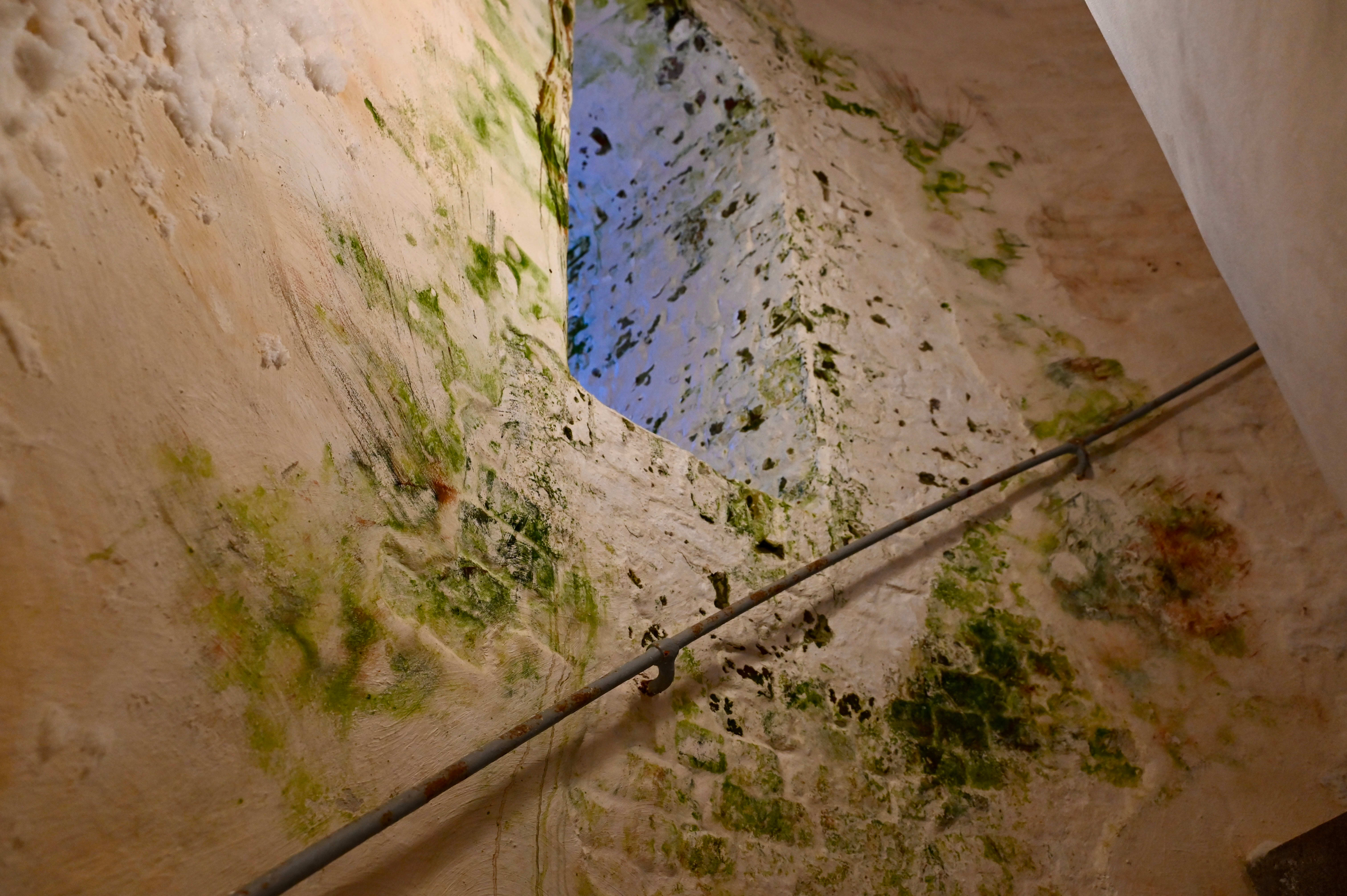 «Det hjelper lite med et flott service­senter hvis attrak­sjonen det bygges for «råtner på rot»