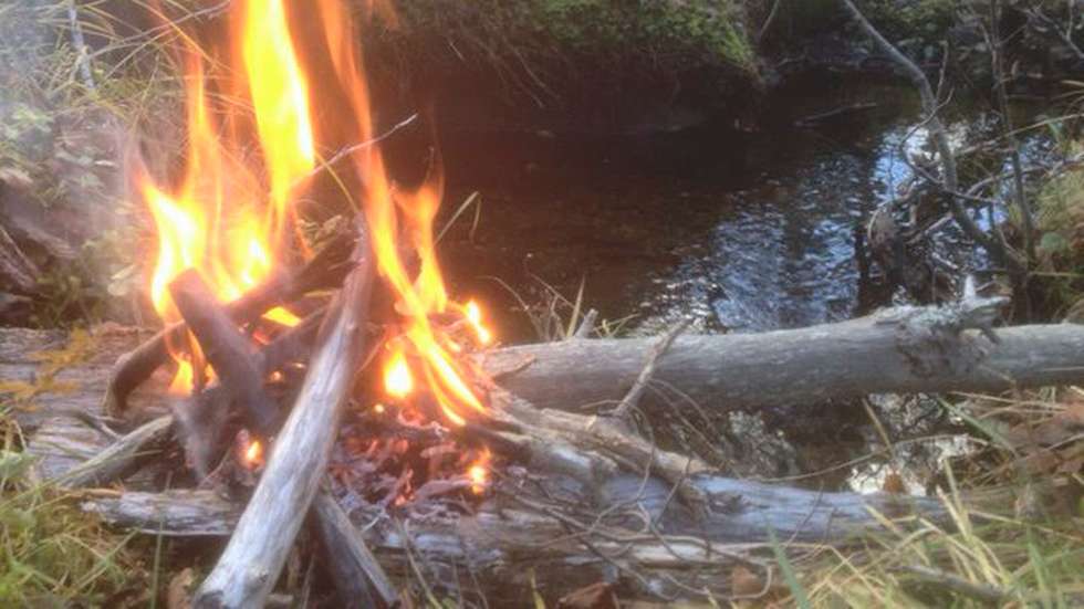 Fico! 22+  Fatti su  Bålforbud: Da er det forbudt å brenne bål i eller i nærheten av skogen.