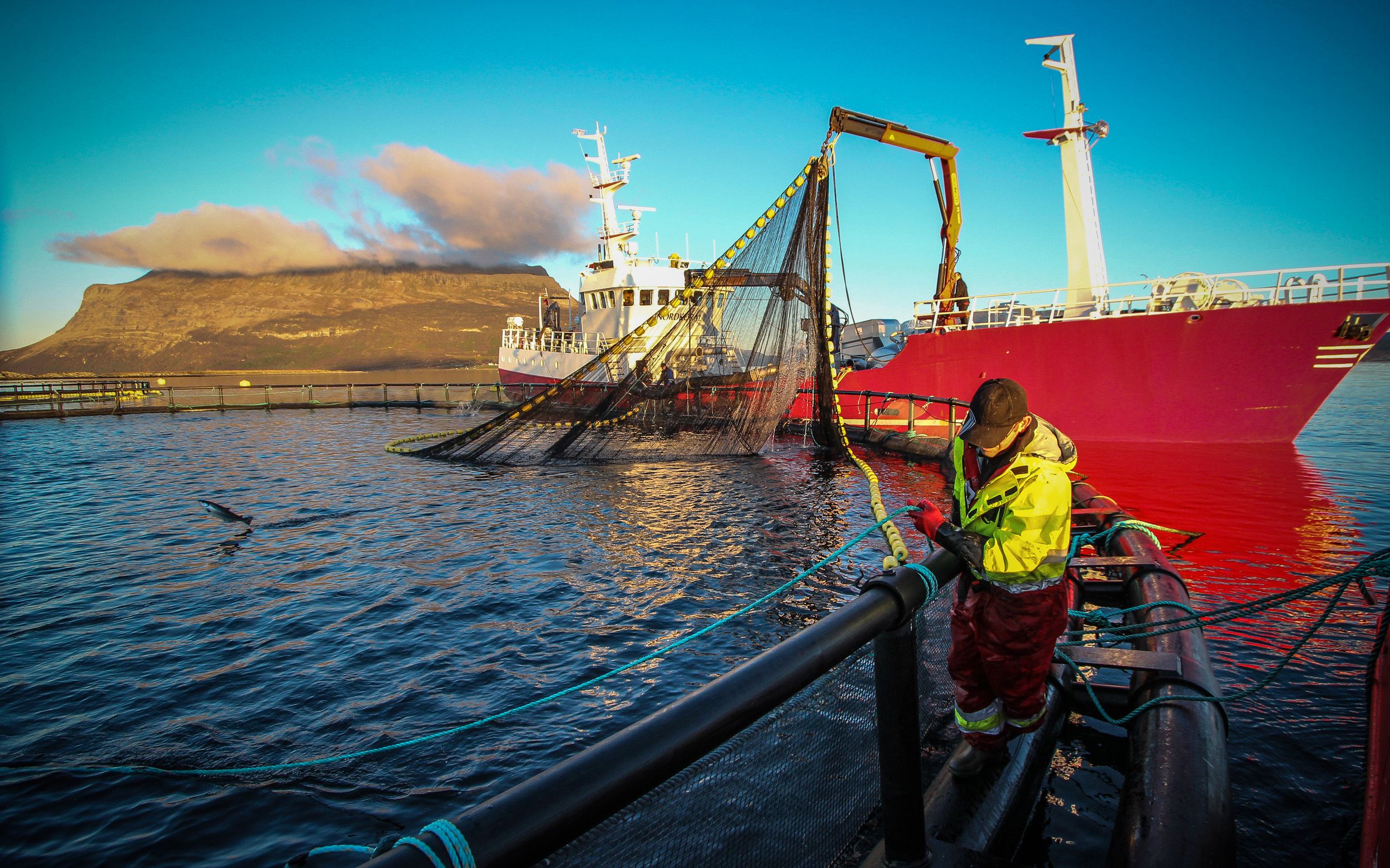 Fiskeri Og Havbruk Forurenser Mer Enn Luftfart - Vol.no