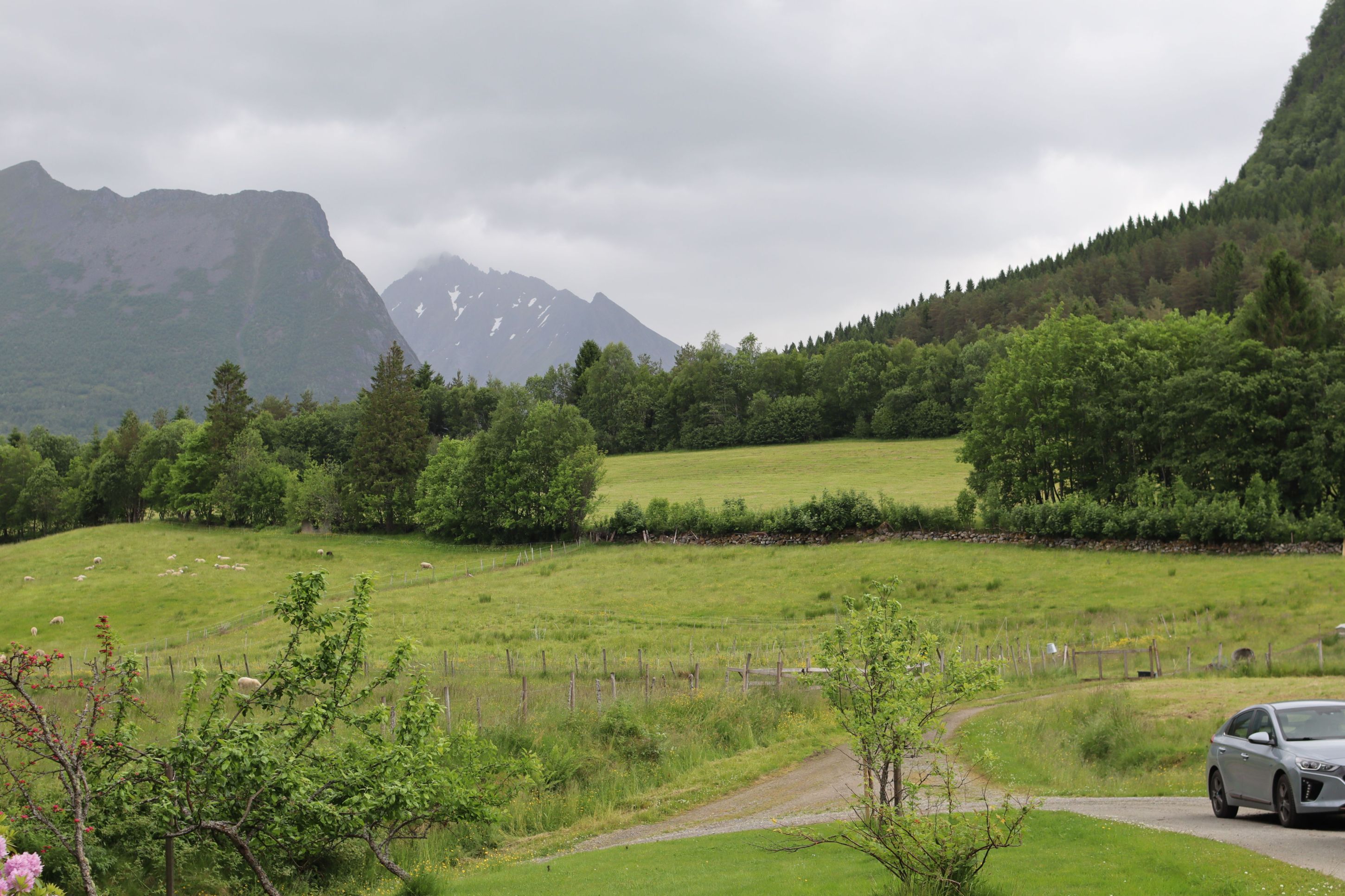 Gjer eit nytt forsøk på Fremre Mo - morenytt.no