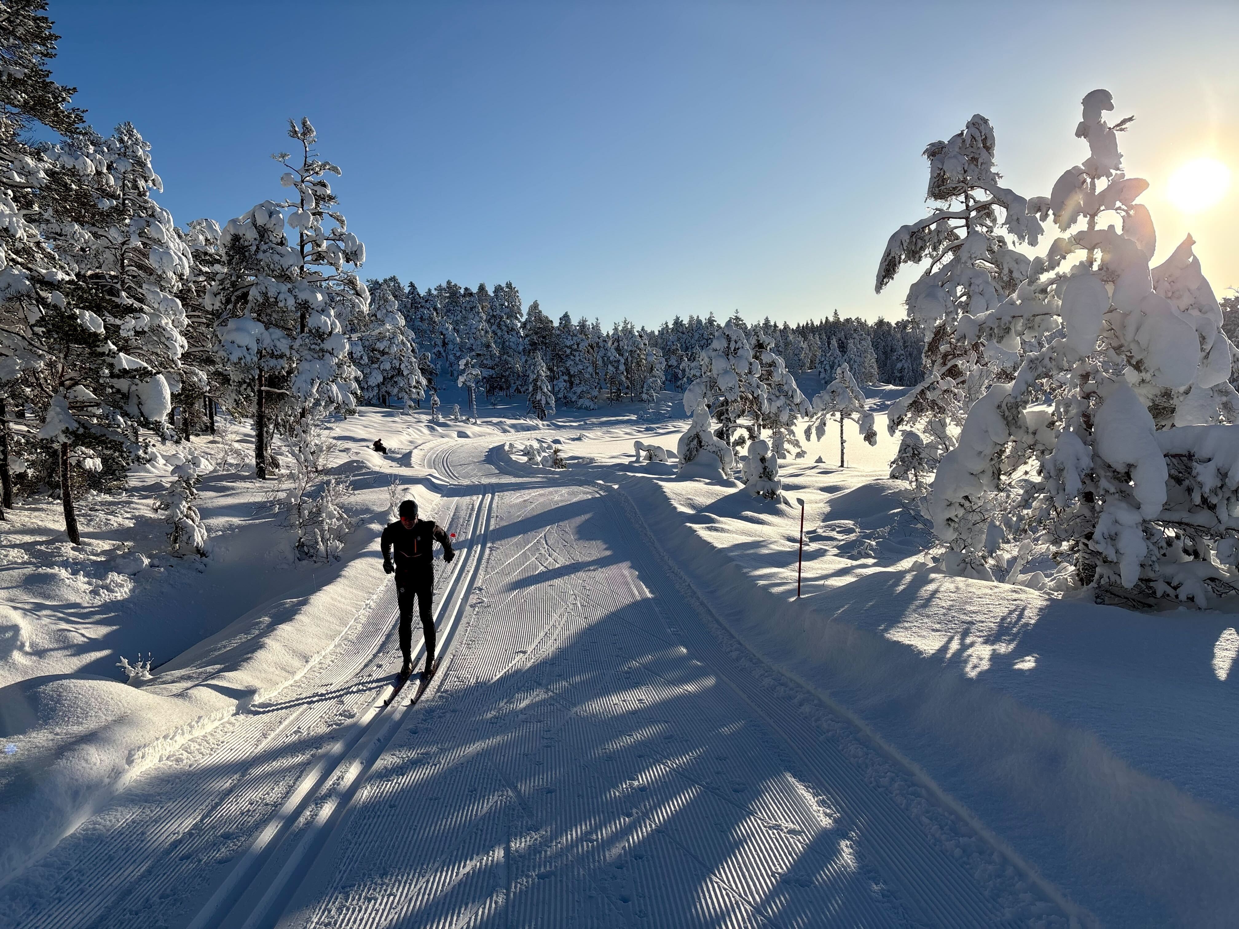 – Det er helt nydelig nå, det kan ikke bli bedre