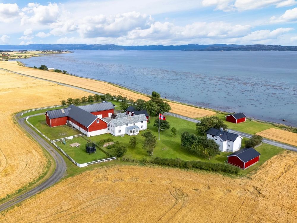 Kan knuse prisre­kord: – Ikke for hvermannsen