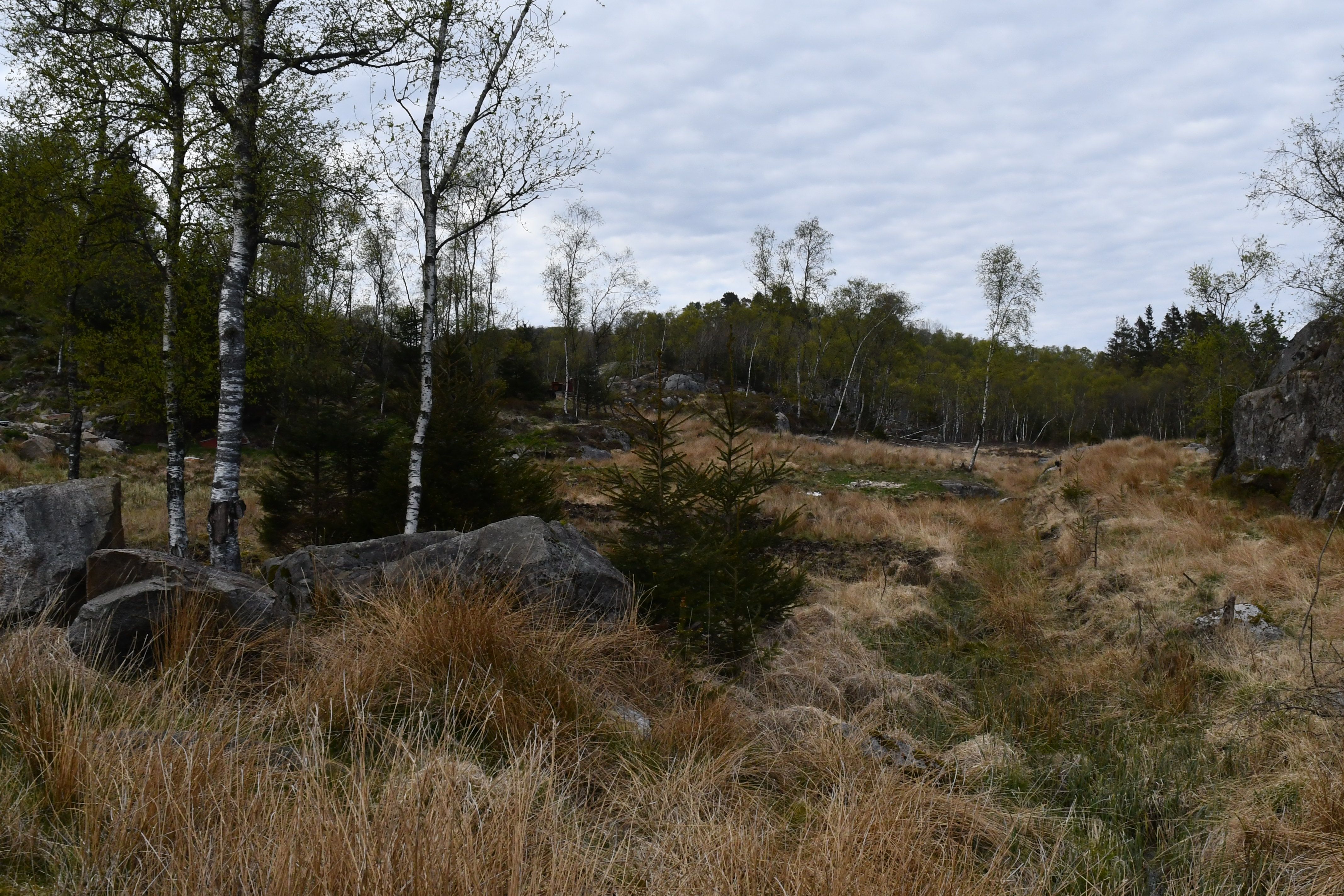 Stiller spørsmål rundt Stats­forvalterens habilitet