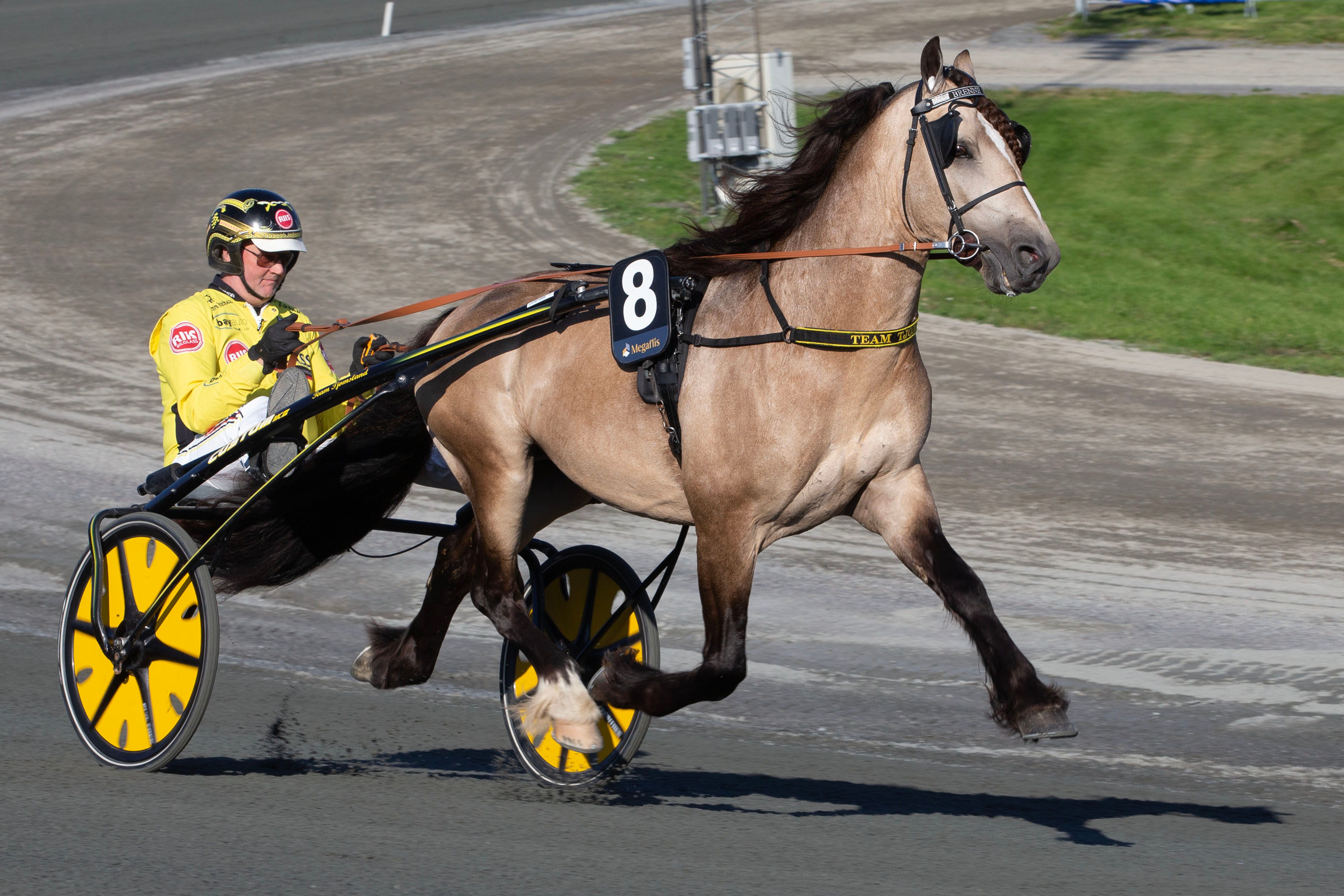 Strålende årsdebut av verdensrekordholderen