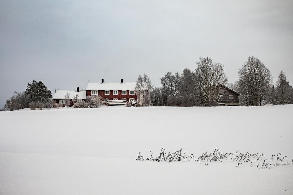 Norges Storste Melkebruk