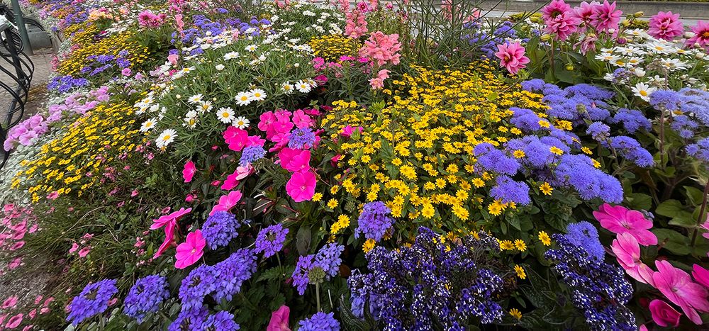 Fine Blomsterbed