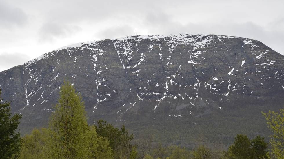 Nysnø på Allmannberget - opp.no